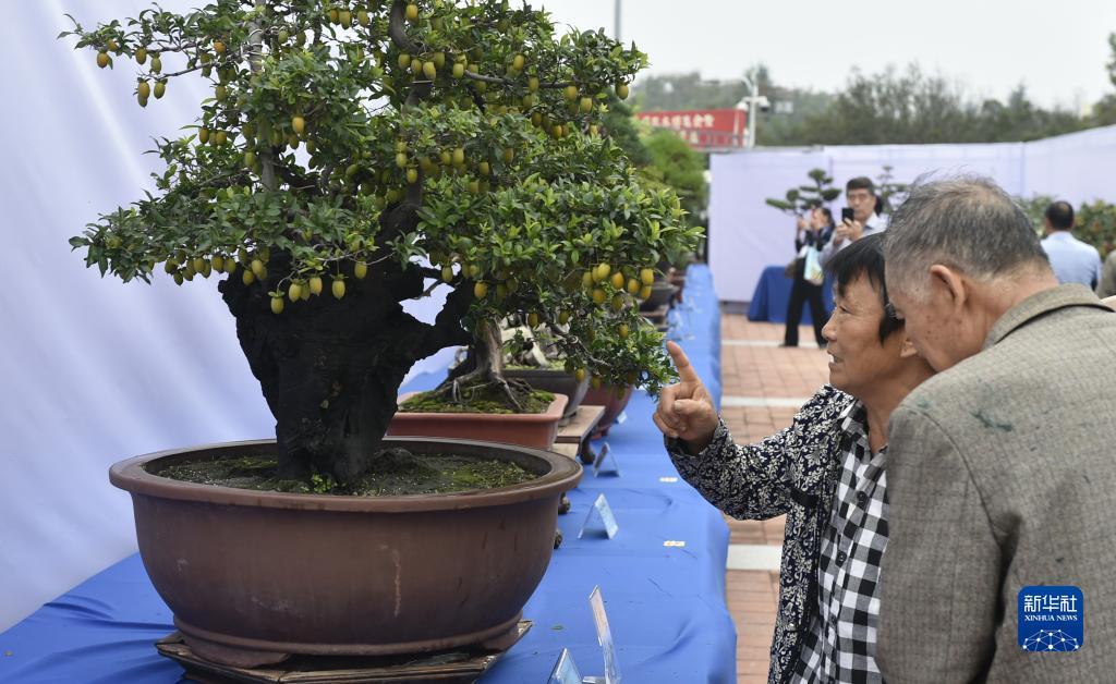 澳门老黄金赌城网址